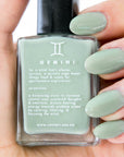 Air Signs Nail Polish Bundle