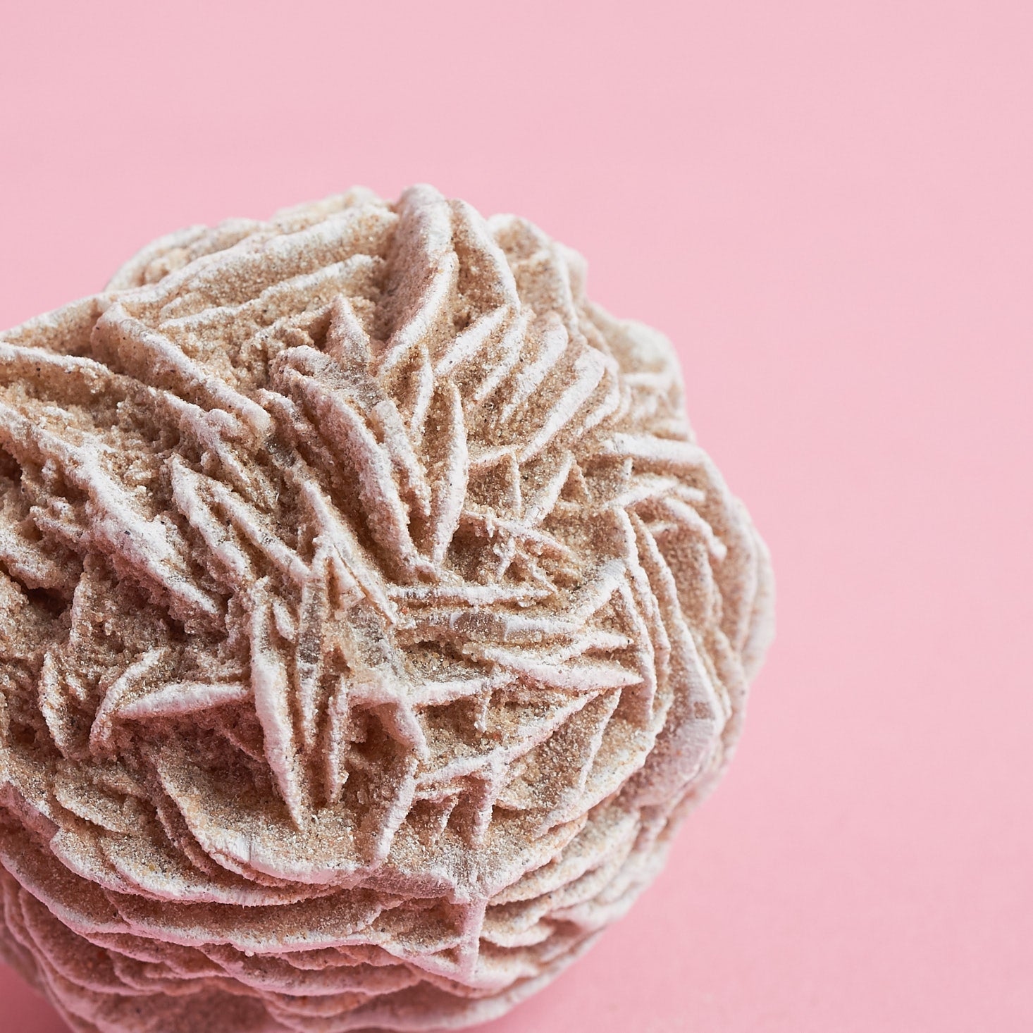 Desert Rose – Love By Luna