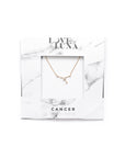 Cancer Constellation Necklace - Gold & Silver (14 Karat Gold / 24 Karat White Gold Dipped Options)