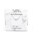 Capricorn Constellation Necklace - Gold & Silver (14 Karat Gold / 24 Karat White Gold Dipped Options)