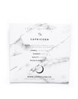 Capricorn Constellation Necklace - Gold & Silver (14 Karat Gold / 24 Karat White Gold Dipped Options)