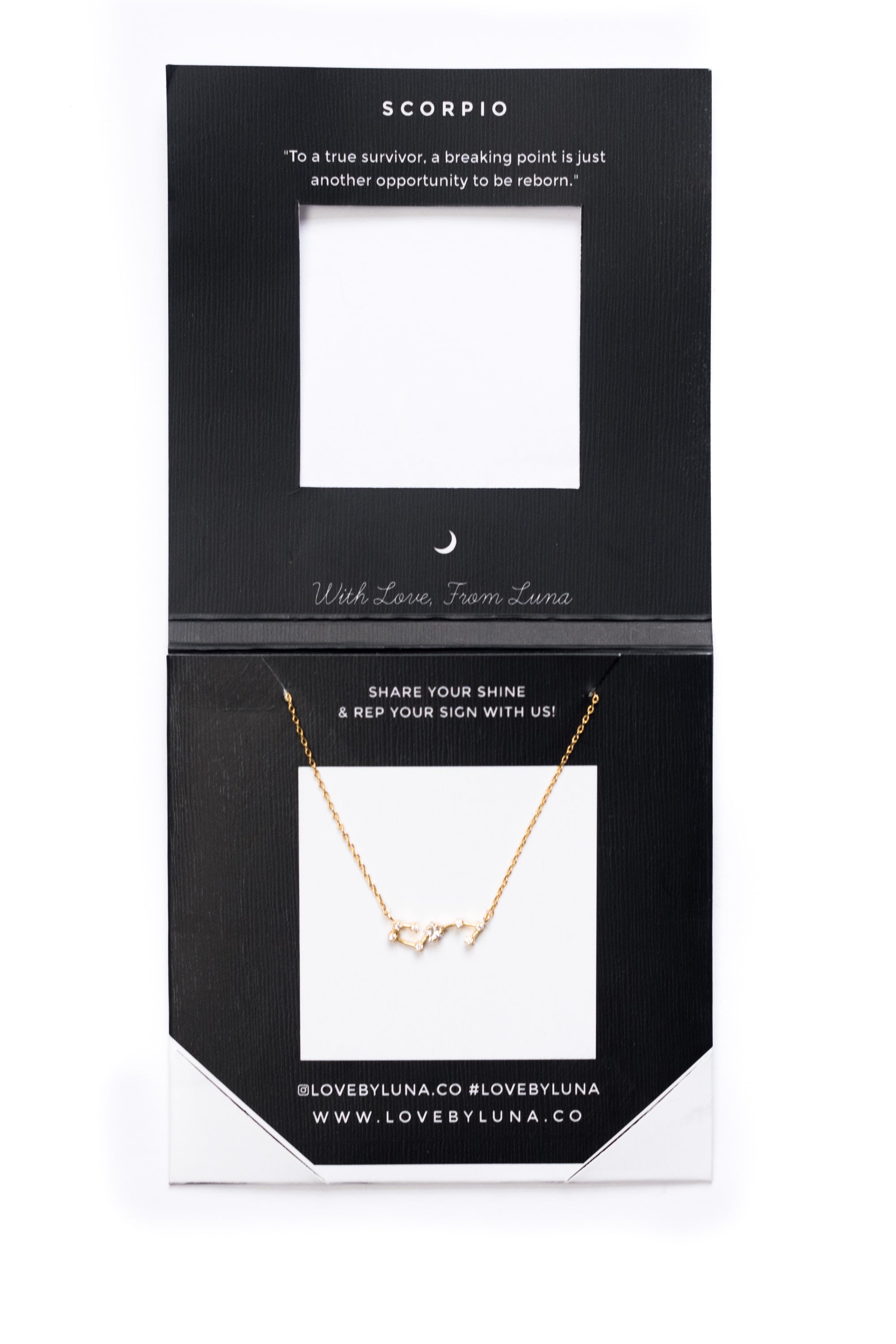 Scorpio Constellation Necklace - Gold & Silver (14 Karat Gold / 24 Karat White Gold Dipped Options)