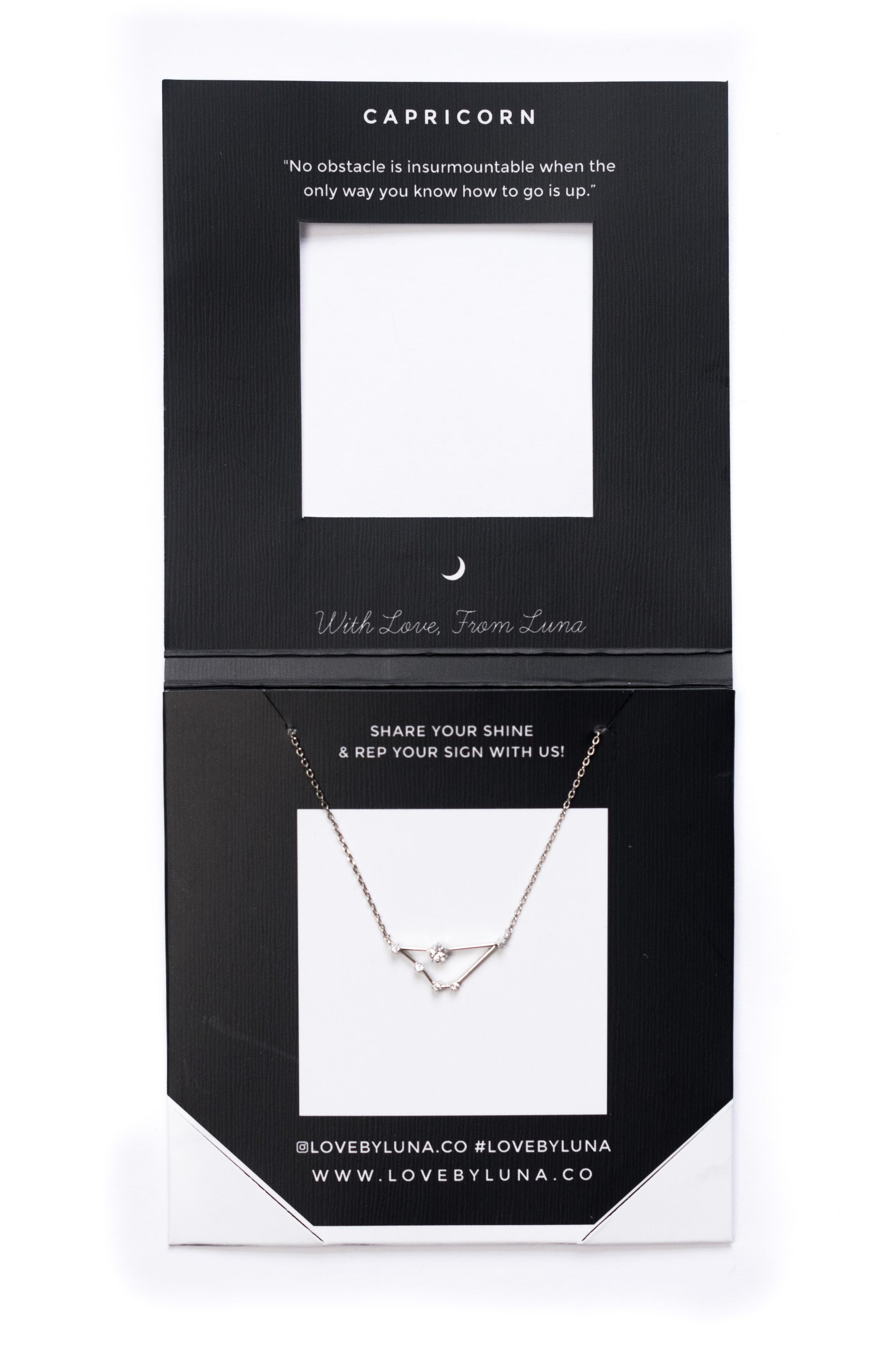 Capricorn Constellation Necklace - Gold & Silver (14 Karat Gold / 24 Karat White Gold Dipped Options)