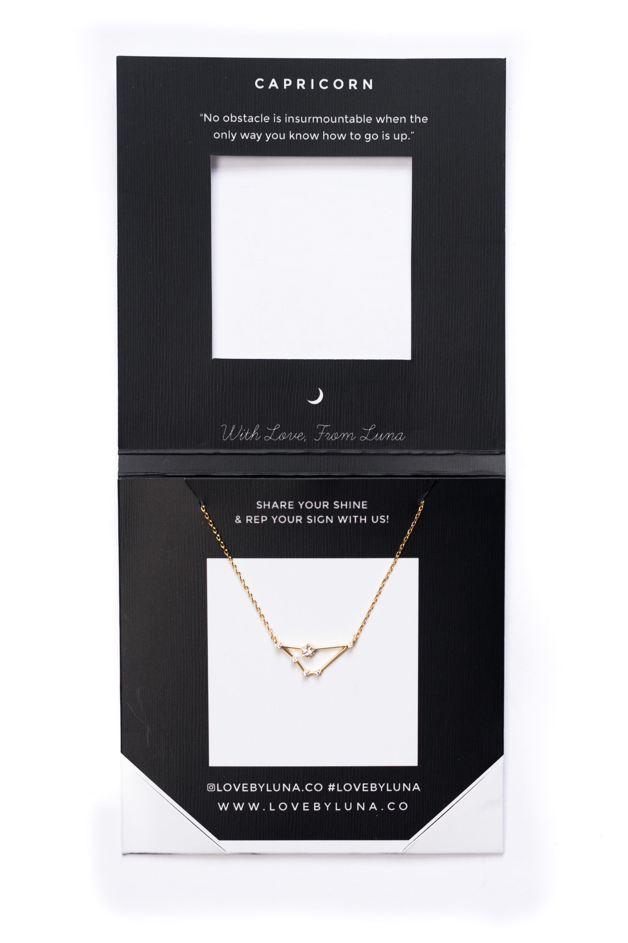 Capricorn Constellation Necklace - Gold & Silver (14 Karat Gold / 24 Karat White Gold Dipped Options)