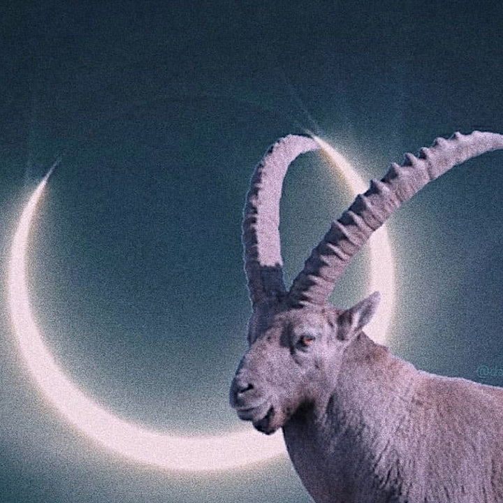 Moon Musings: How The Full Moon Lunar Eclipse in Capricorn (Jul 5, 2020) Will Affect Your Zodiac Sign