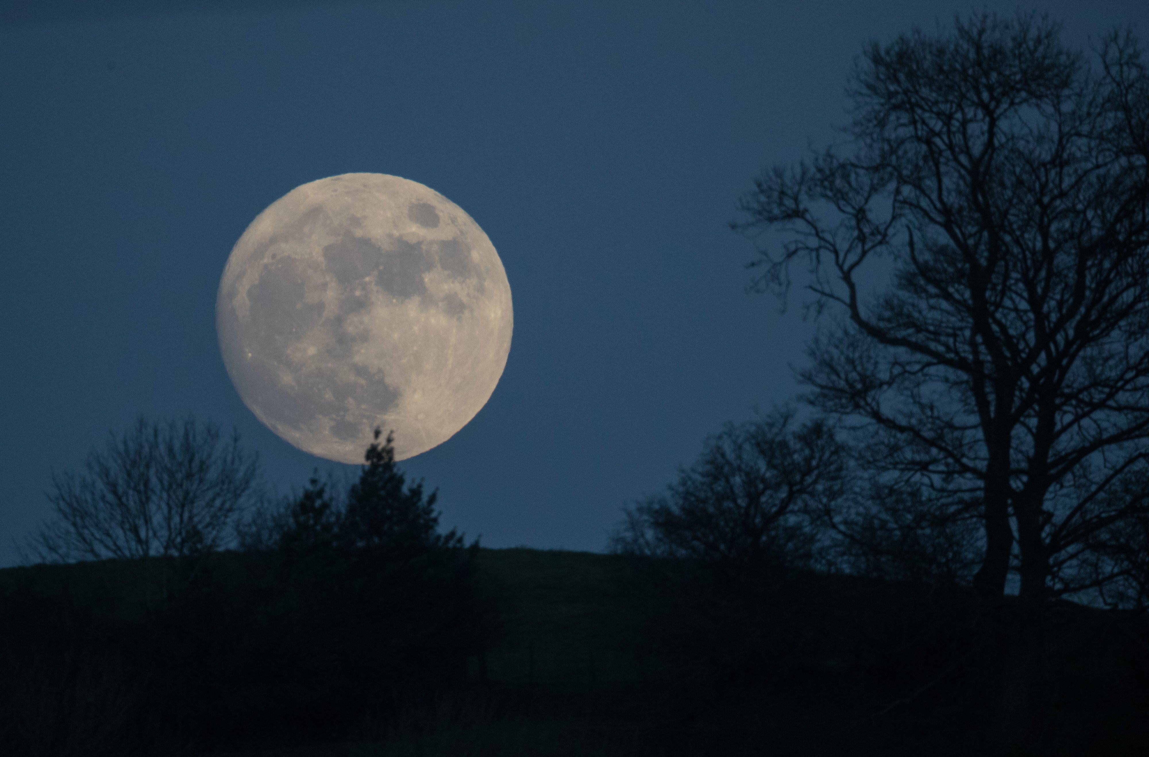 Moon Musings: How The Full Moon in Cancer Will Affect Your Zodiac Sign (Jan 1st, 2018)