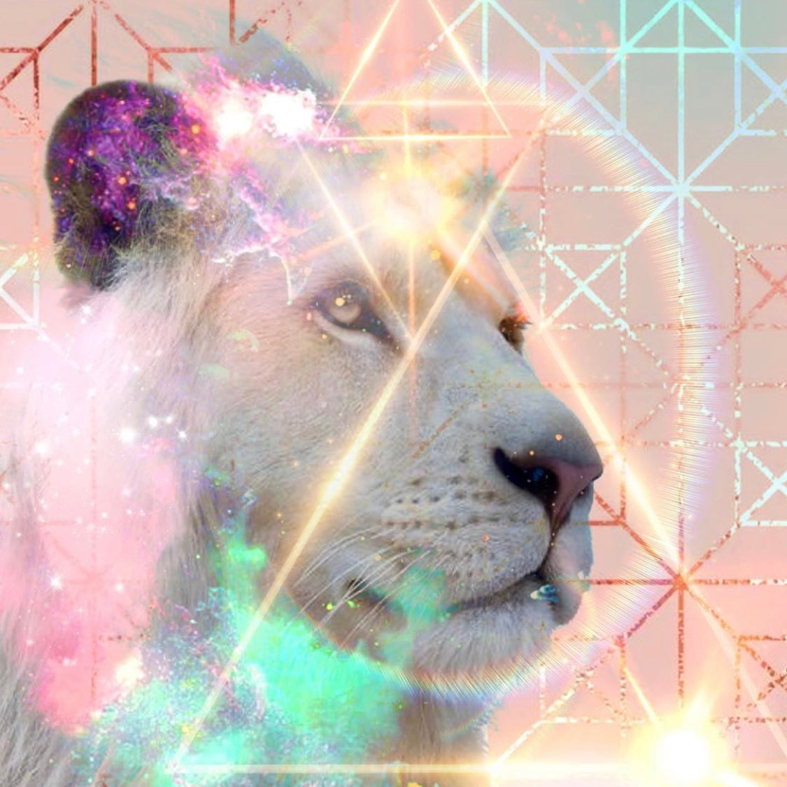 Moon Musings: How The New Moon in Leo (Aug 18, 2020) Will Affect Your Zodiac Sign
