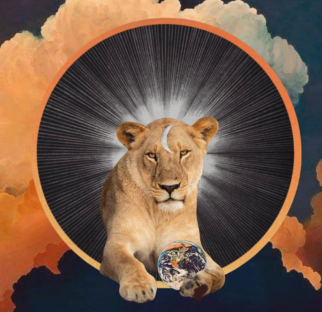 Moon Musings: How the Full Moon in Leo (Feb 8, 2020) Will Affect Your Zodiac Sign