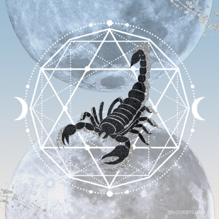 Moon Musings: How The New Moon in Scorpio (Nov. 15, 2020) Will Affect Your Zodiac Sign
