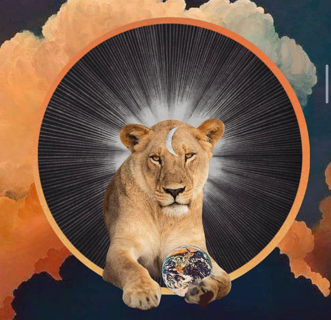 Moon Musings: How The Full Moon in Leo Will Affect Your Zodiac Sign (Jan. 28, 2021)