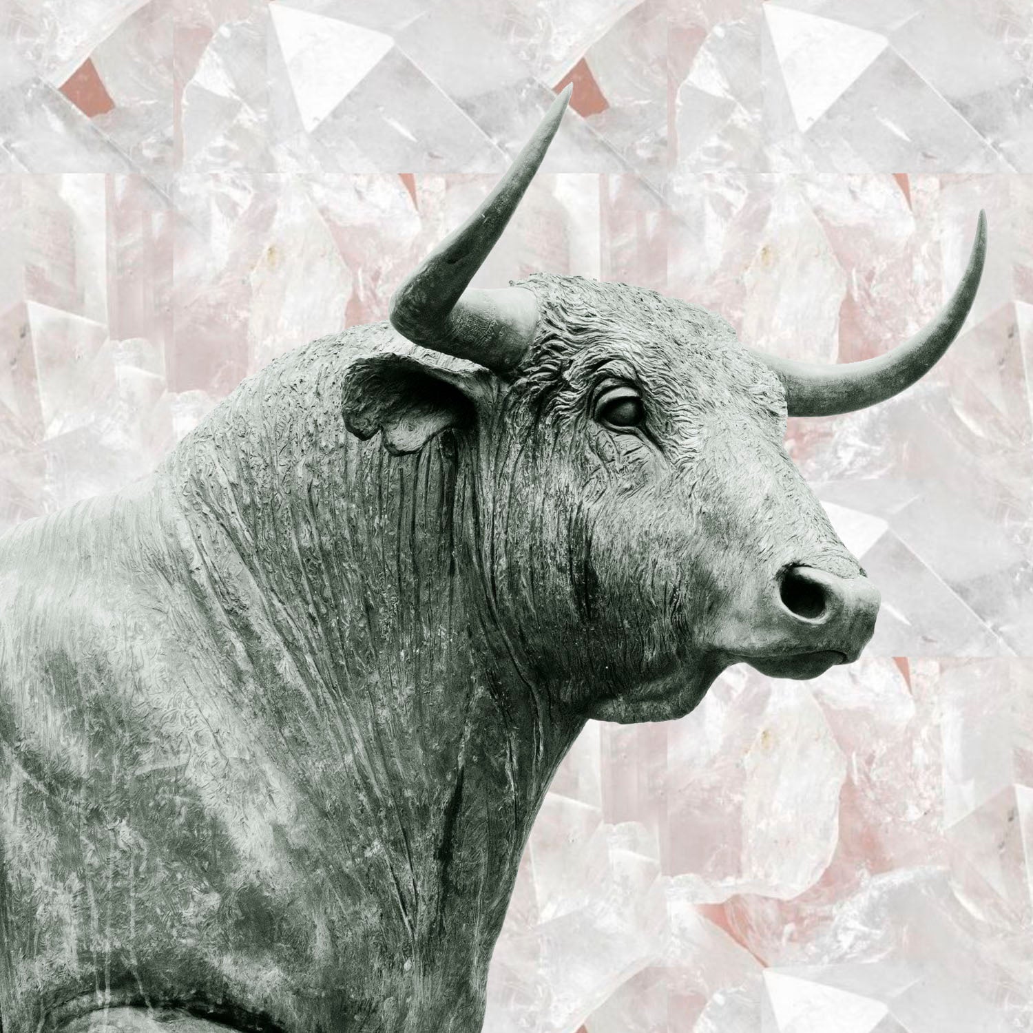 Moon Musings: How The New Moon in Taurus (Apr 22, 2020) Will Affect Your Zodiac Sign