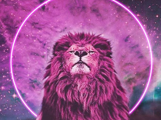 Moon Musings: How The Full Moon in Leo (Jan 31st, 2018) Will Affect Your Zodiac Sign