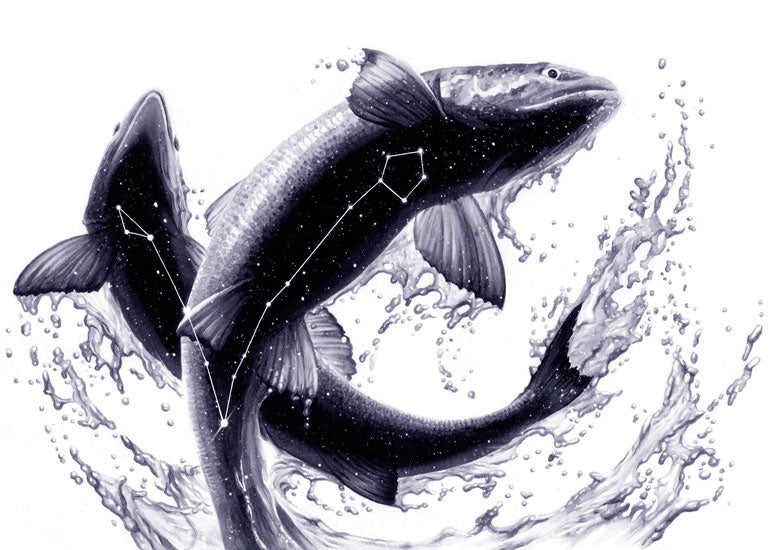 Moon Musings: How The New Moon in Pisces (Mar 17th, 2018) Will Affect Your Zodiac Sign?