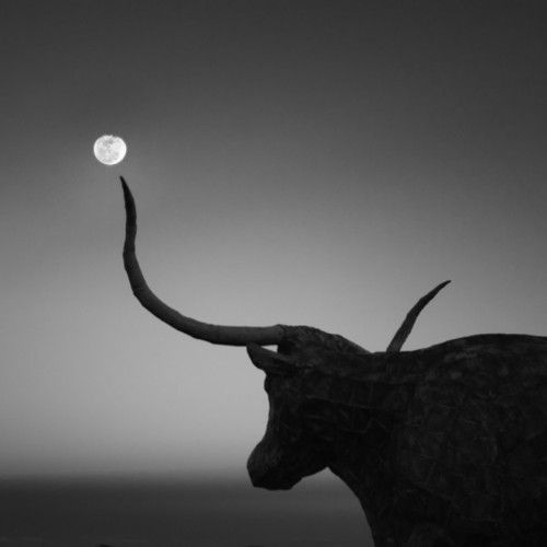 Moon Musings: How The New Moon in Taurus (May 15th, 2018) Will Affect Your Zodiac Sign