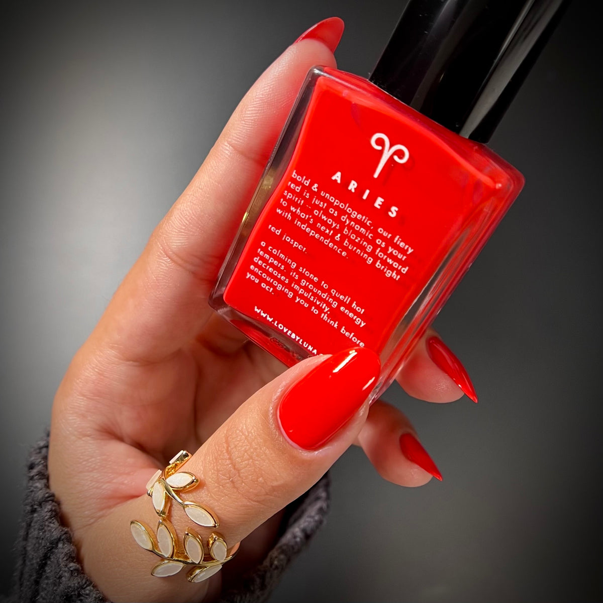 Aries Nail Polish-10