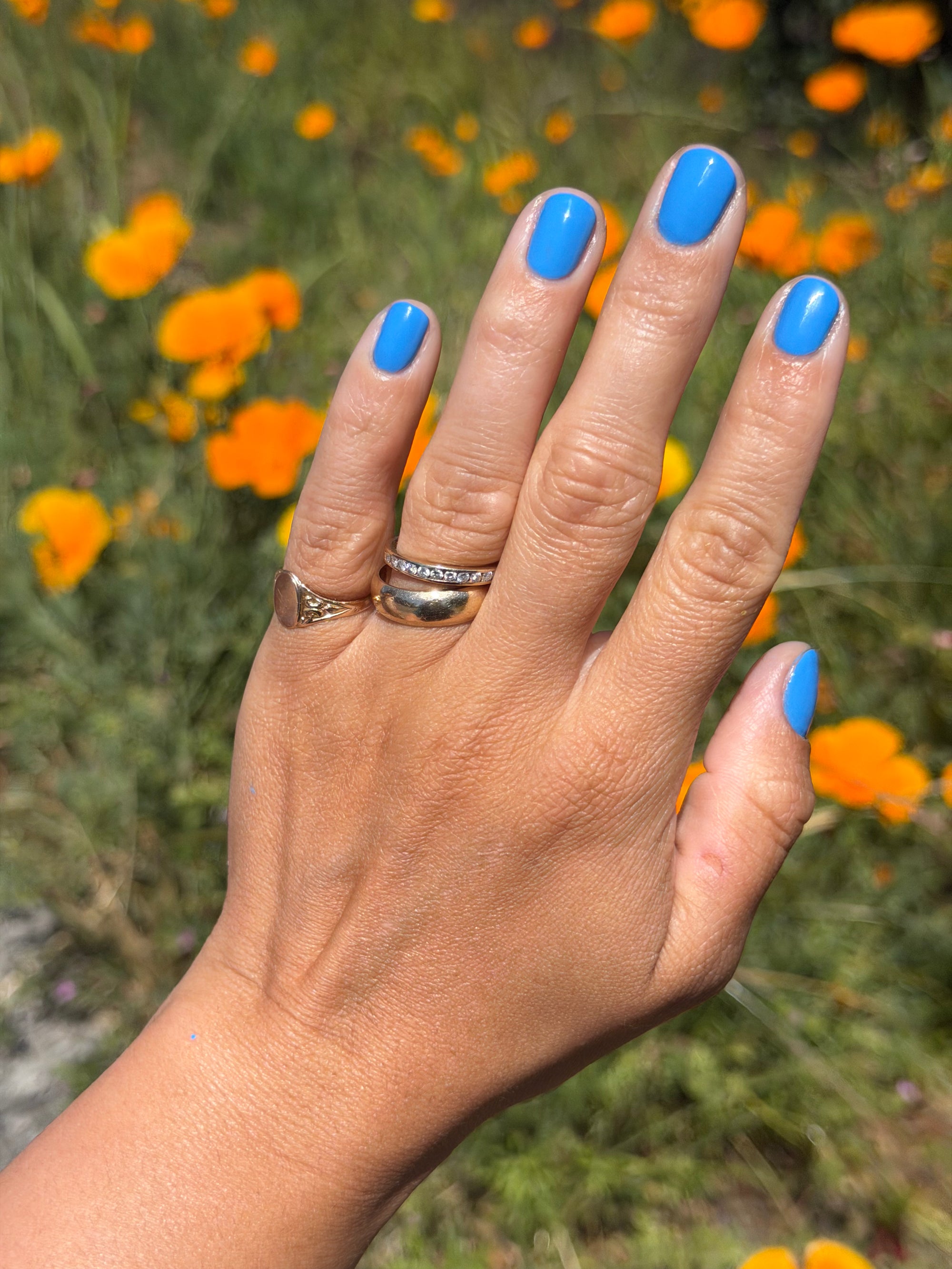 Jet Setter Nail Polish