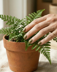 Forest Retreat Nail Polish