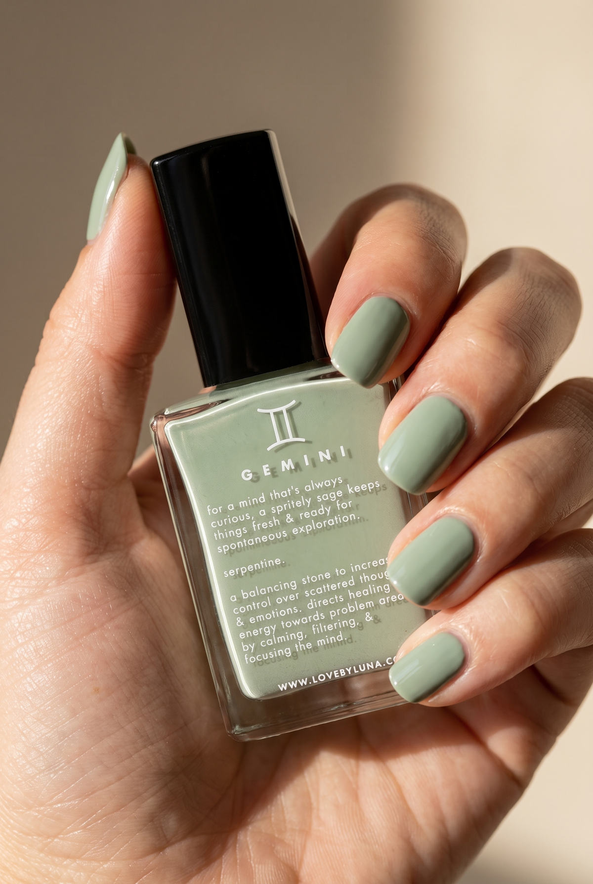 Gemini Nail Polish-7
