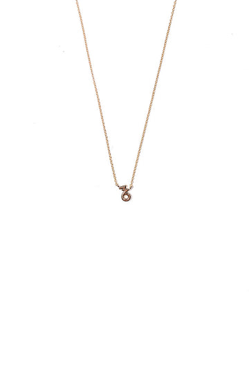dainy capricorn necklace from love by luna