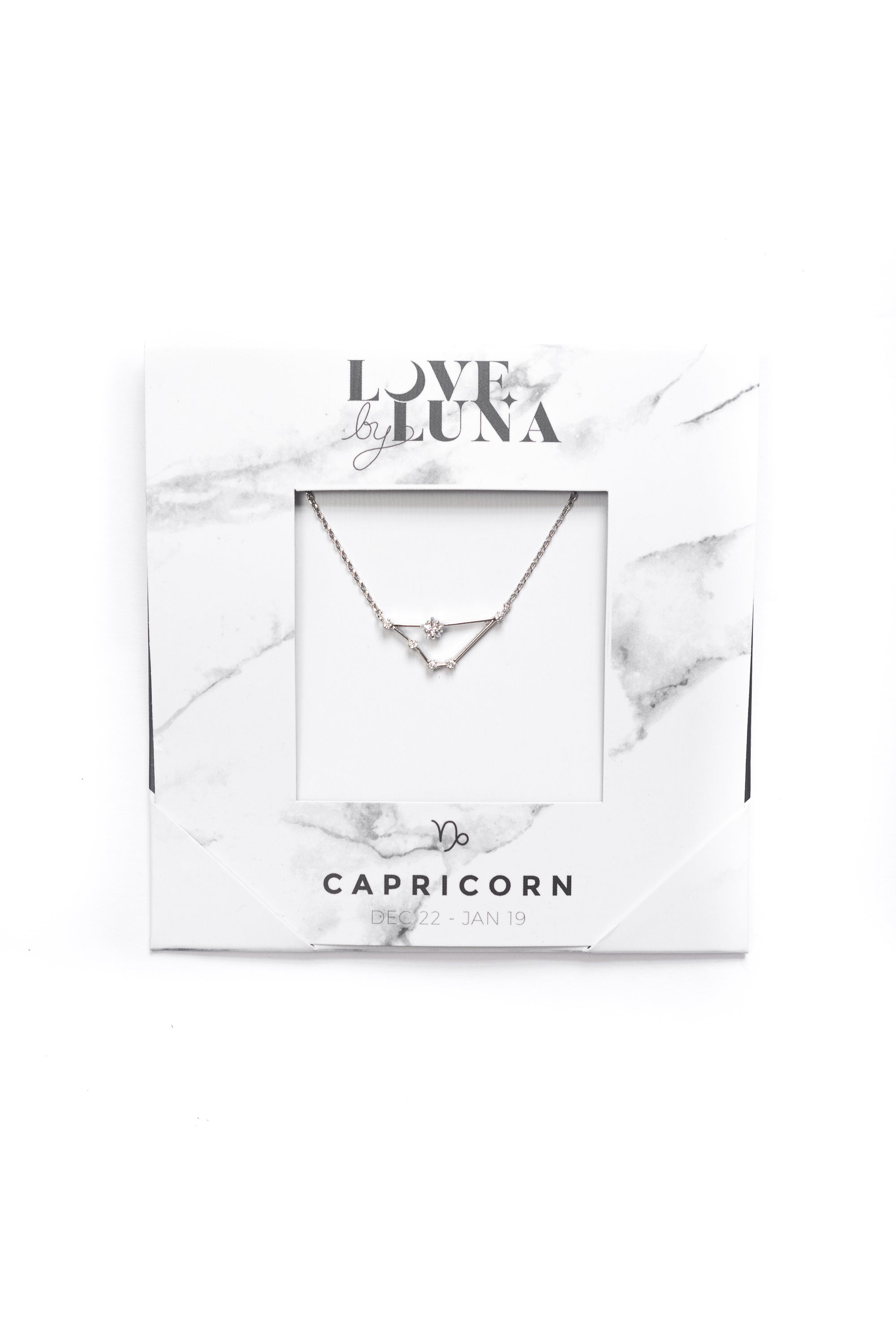 Capricorn Constellation Necklace - Gold &amp; Silver (14 Karat Gold / 24 Karat White Gold Dipped Options)
