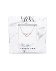 Capricorn Constellation Necklace - Gold & Silver (14 Karat Gold / 24 Karat White Gold Dipped Options)