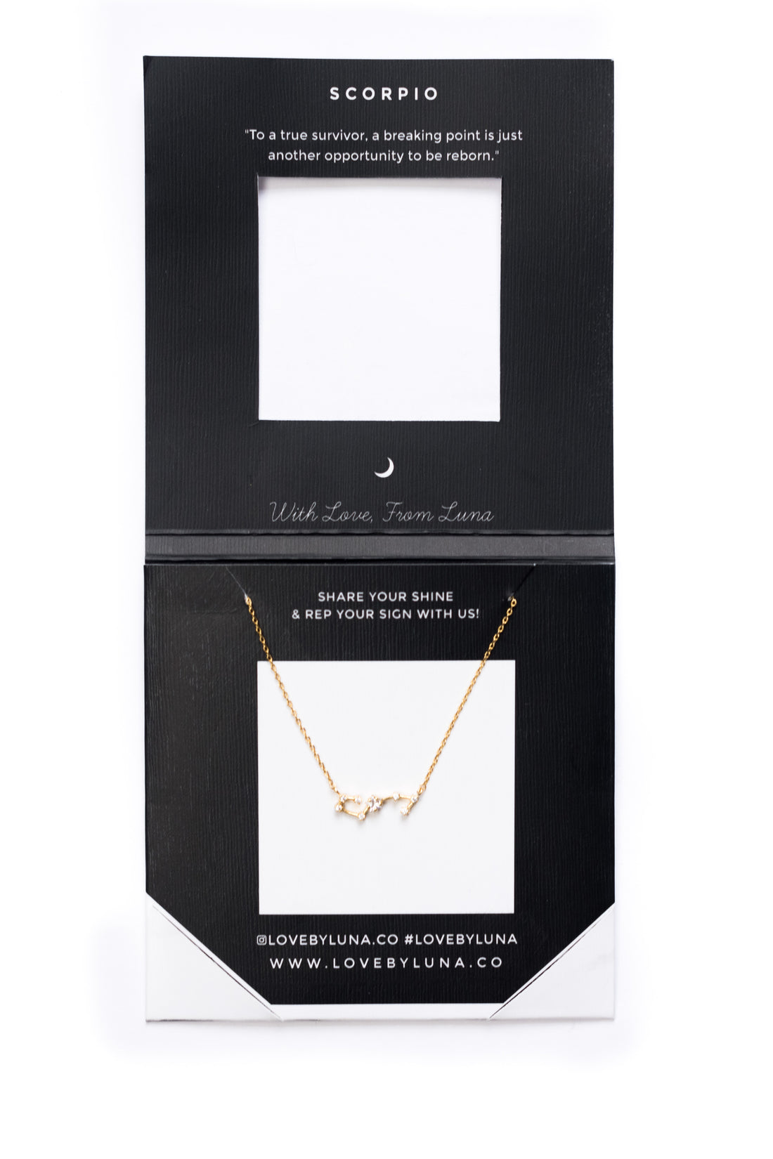 Scorpio Constellation Necklace - Gold & Silver (14 Karat Gold / 24 Karat White Gold Dipped Options)