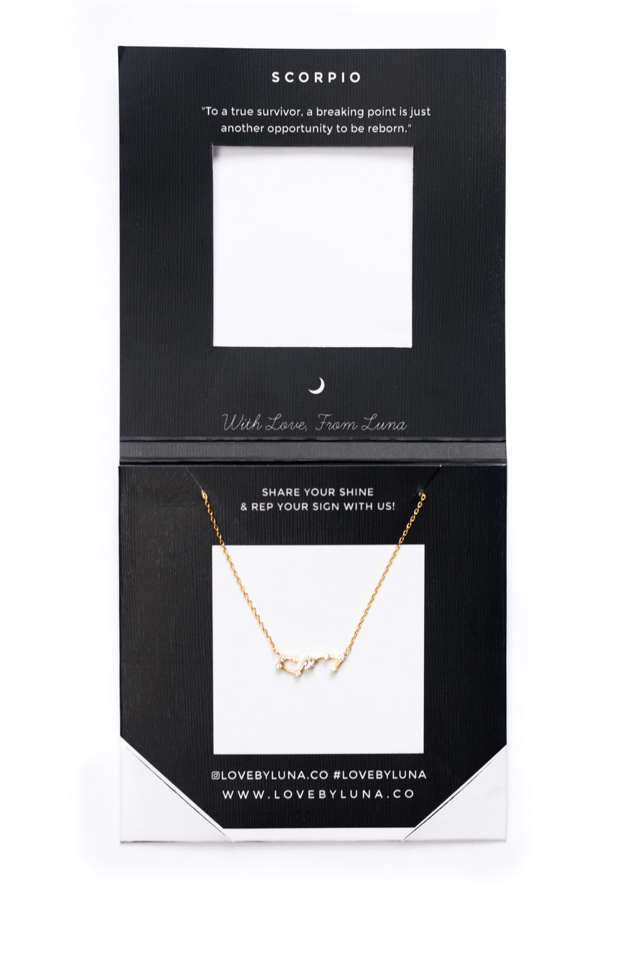 Scorpio Constellation Necklace - Gold & Silver (14 Karat Gold / 24 Karat White Gold Dipped Options)